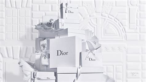 dior website usa|dior official online.